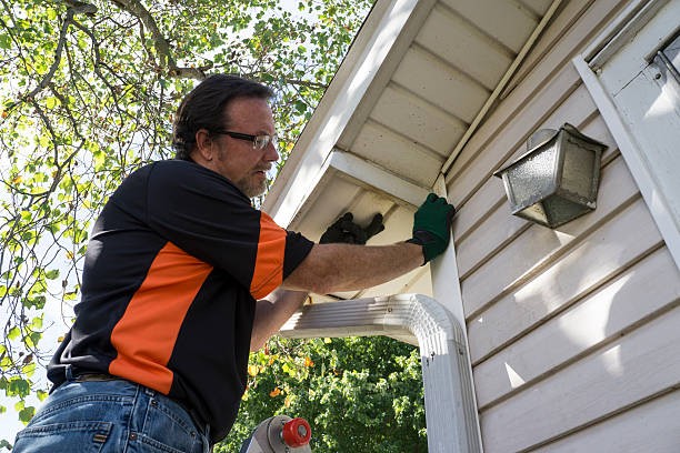 Best Carpet Removal and Disposal  in Belmont, MS